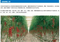 能使不雅众正在后续参细分手艺展商时