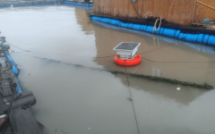 <b>为养殖平安建牢“防护网</b>